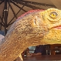Velociraptor