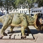 Centrosaurus