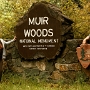 Muir Woods National Monument - ausgesprochen Mjuhr - ist ein Schutzgebiet im Marin County etwa 15 Kilometer nördlich von San Francisco im US-Bundesstaat Kalifornien. Das National Monument schützt die letzten Küstenmammutbäume, die höchsten Bäume der Erde, in der Region San Francisco. Das Schutzgebiet wurde 1908 durch Präsident Theodore Roosevelt gegründet, nachdem der Abgeordnete des US-Kongress William Kent und seine Frau Elizabeth aus privaten Mitteln 120 ha gekauft und zweckgebunden der Bundesregierung übergeben hatten. Auf Wunsch des Stifters wurde es nach dem Naturforscher und Naturschützer John Muir benannt.
