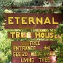 Eternal Tree House<br />Begeh- und bewohnbarer Baum in Scotia, an der Avenue of the Giants.<br />Besucht am 21.9.2016