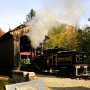 Clark's Bridge<br />Gehört zum White Mountain Railroad Logging Museum, dessen Zug täglich mehrmals durch diese Brücke fährt.