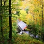 Flume Bridge<br />New Hampshire Bridge #39<br />World Guide Bridge 29-05-05<br /><br />Auf dem Weg zur Flume Gorge im Franconia Notch State Park
