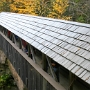 Sentinel Pine Bridge