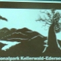 Der Nationalpark Kellerwald-Edersee im nordhessischen Landkreis Waldeck-Frankenberg ist ein 57,38 km² großer und südlich des Edersees gelegener Nationalpark im Nordteil des Mittelgebirges Kellerwald. Seit dem 25. Juni 2011 ist das Buchenwald-Gebiet des Nationalparks Teil der UNESCO-Weltnaturerbestätte Buchenurwälder in den Karpaten und alte Buchenwälder in Deutschland.<br /><br />Die Nationalparkverwaltung befindet sich im östlich des Parks gelegenen Bad Wildungen.<br />