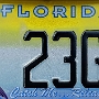 Licence Plate Florida