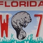 Ihren Abschluss fand die Amerikanisierung von Florida 1819 mit dem Adams-Onís-Vertrag, bei dem die Vereinigten Staaten im Gegenzug auf Landansprüche in Texas verzichteten. Am 17. Juli 1821 übernahm der spätere US-Präsident Andrew Jackson in Pensacola offiziell die Kontrolle über Florida. Am 30. März 1822 wurde Florida zum Organized Territory. Ostflorida und Westflorida wurden vereinigt, große Teile von Westflorida blieben jedoch auch weiterhin dem Orleans Territory und dem Mississippi Territory angeschlossen. Neue Hauptstadt des Territoriums wurde Tallahassee.<br /><br />Am 3. März 1845 wurde Florida der 27. Bundesstaat der USA.