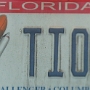 Licence Plate Florida