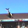 Island Water Sports - Shop in Deerfield Beach, 29.12.1988