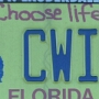 Licence Plate Florida