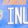 Licence Plate Florida