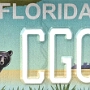 Licence Plate Florida