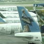 Frontier Airlines<br />Airbus A319-111 - N908FR "Polly the Parrot"<br />Airbus A320-214 - N948FR "Pete the Pelican"<br />Airbus A320-214 - N213FR "Montana the Elk"<br />Airbus A320-214 - N219FR "Jack the Hare"<br />Airbus A319-115 - N953FR "O'Malley the Mallard Duck"<br />DEN - Terminal - 7.6.2014 - 7:56 AM