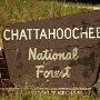 Chattahoochee National Forest