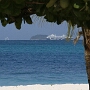 Palm Island