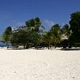 Palm Island