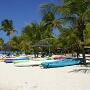 Palm Island