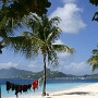 Palm Island