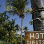 Palm Island