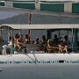 Palm Island