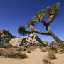 Joshua Tree National Park - 07.10.2011