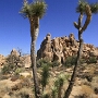Joshua Tree National Park - 07.10.2011