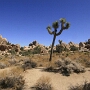 Joshua Tree National Park - 07.10.2011
