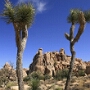 Joshua Tree National Park - 07.10.2011