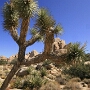 Joshua Tree National Park - 07.10.2011