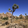 Joshua Tree National Park - 07.10.2011
