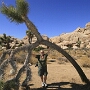 Joshua Tree National Park - 07.10.2011