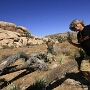 Joshua Tree National Park - 07.10.2011