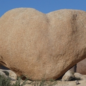 165