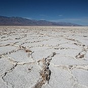 137