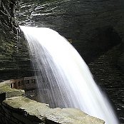 141