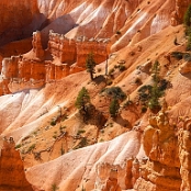 Bryce Canyon 1