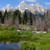 Grand Teton NP 2
