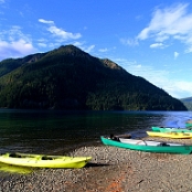 Olympic NP 11