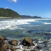 Olympic NP 6