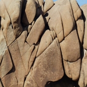 Joshua Tree NP 3