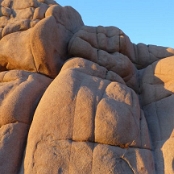 Joshua Tree NP 6