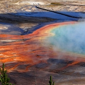 Yellowstone NP 15