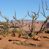 Canyonlands NP 4