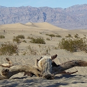 Death Valley 7
