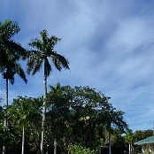 Everglades NP 9