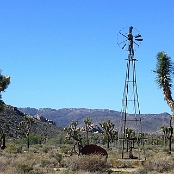 Joshua Tree NP 8