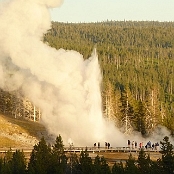 Yellowstone NP 12