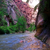 Zion Park 5