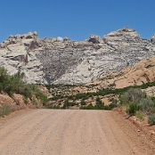 Dinosaur NM 01