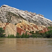 Dinosaur NM 02