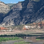Dinosaur NM 03